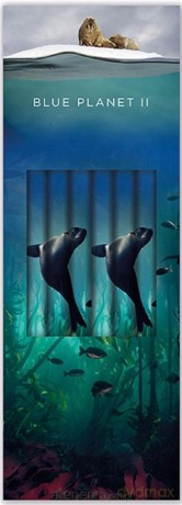 Ołówek ozdobny Sea Lion (6 szt)