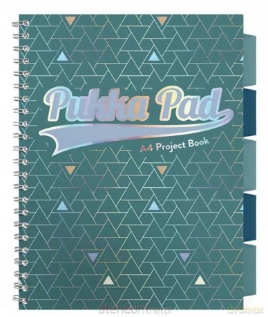 Project Book Glee A4/100K kratka zielony (3 szt)