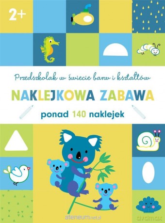 Przedszkolak w świecie barw i kształtów [KSIĄŻKA]