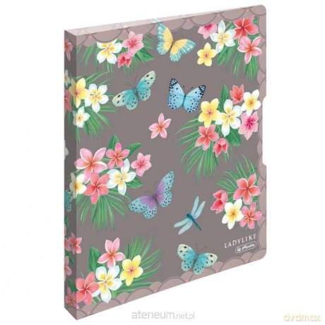 Segregator A4 PP 2 2,7cm Ladylike Butterflies
