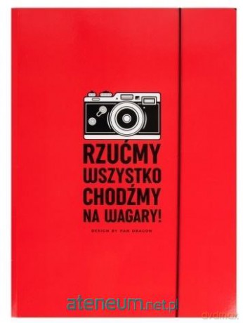 Teczka A4 z gumką Be cool-02