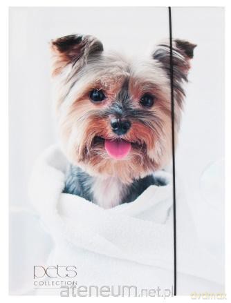 Teczka A4 z gumką Pets-12