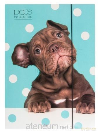 Teczka A4 z gumką Pets-16