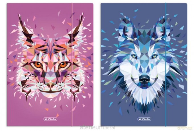 Teczka rysunkowa A4 z gumką Wild Animals mix