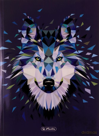 Teczka rysunkowa A4 z gumką Wild Animals mix