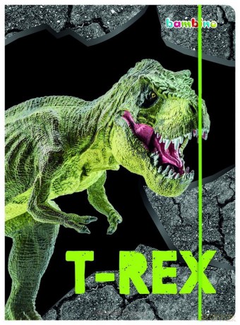 Teczka z gumką A4 T-Rex