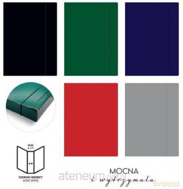 Teczka z gumką A4+ 40mm 450g MIX kol. (10 szt)