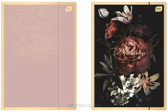 Teczka z gumką A4+ Satin Gold 1 (10 szt)