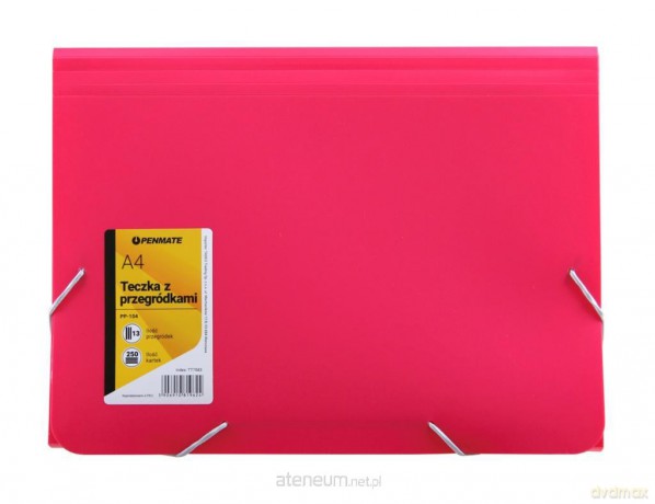 Teczka z przegródkami A4 PP-104 różowa
