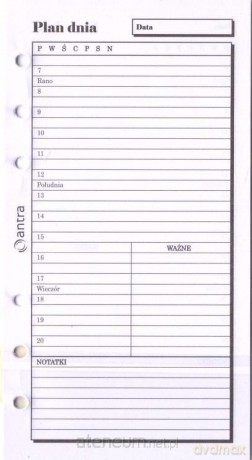 Wkład do organizera ST Plan dnia