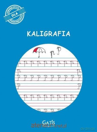 Zeszyt A4/16K linia Kaligrafia [KSIĄŻKA]