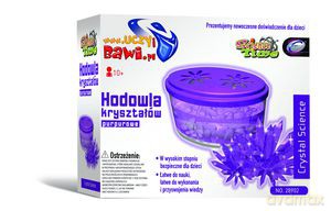 Hodowla Kryształów - Purpurowe [ZABAWKA]