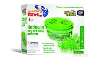 Hodowla Kryształów - Zielone [ZABAWKA]