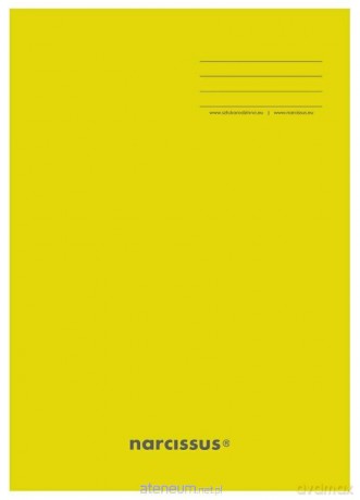 Zeszyt A5/16K kratka PP Yellow (4 szt)