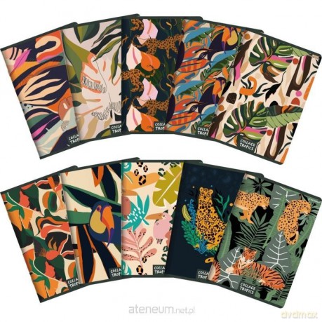 Zeszyt A5/60K kratka Collage Tropics (10 szt)