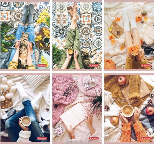 Zeszyt A5/60K Linia Flat Lay (5 szt)