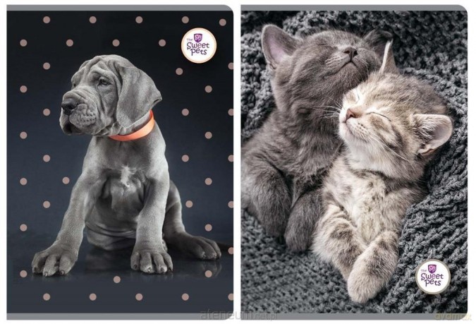 Zeszyt A5/60K linia The Sweet Pets (5 szt)