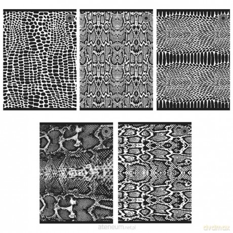 Zeszyt A5/80K linia Snakes 1 (5 szt)