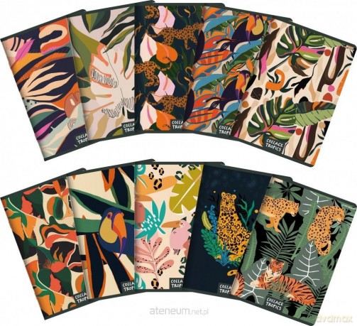 Zeszyt A5/96K kratka Collage Tropics (5 szt)