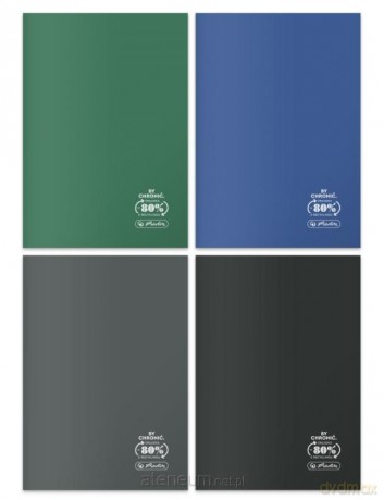 Zeszyt B5/60K kratka Eco PP Ocean Colors (5 szt)