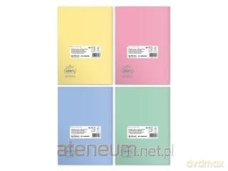 Zeszyt B5/60K kratka Eco PP Pastel Colors (5 szt)