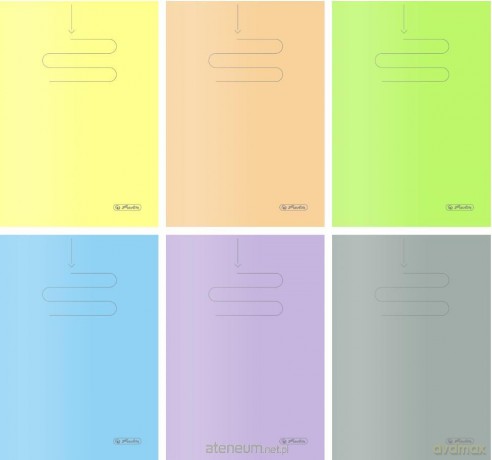 Zeszyt B5/60K kratka PP Colors (5 szt)