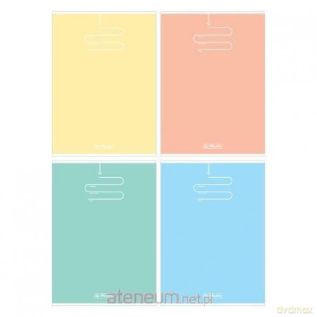 Zeszyt B5/96K kratka Pastel Color (5 szt)