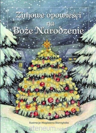 Zimowe opowieści na Boże Narodzenie [KSIĄŻKA]