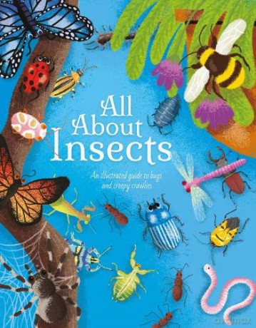 All About Insects - Polly Cheeseman [KSIĄŻKA]