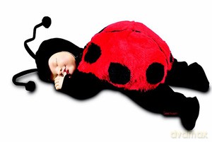 Lalka Anne Geddes Śpiąca Biedronka 15" [ZABAWKA]