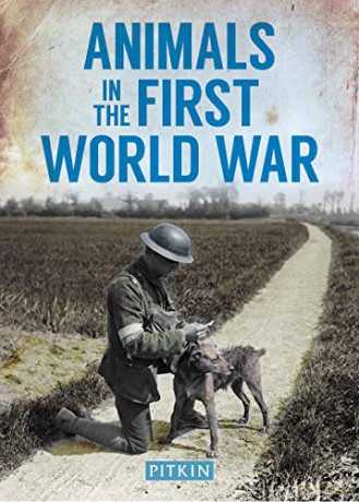 Animals In The First World War - Peter Street [KSIĄŻKA]