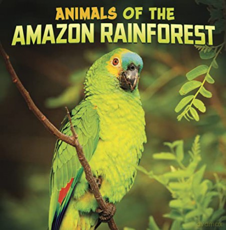 Animals Of The Amazon Rainforest - Mari Schuh [KSIĄŻKA]