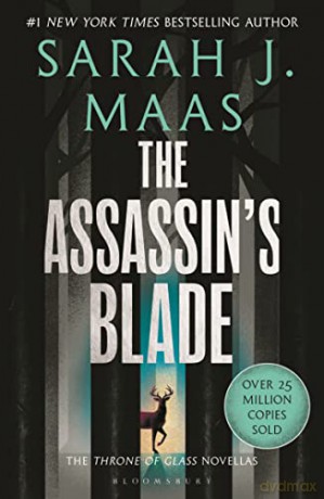 Assassin Blade - Sarah J. Maas [KSIĄŻKA]