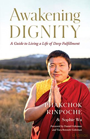 Awakening Dignity - Phakchok Rinpoche [KSIĄŻKA]