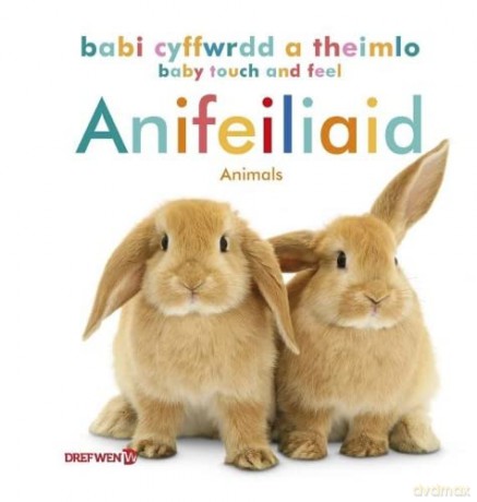Babi Cyffwrdd A Theimlo Anifeiliaid Baby - Dref Wen [KSIĄŻKA]