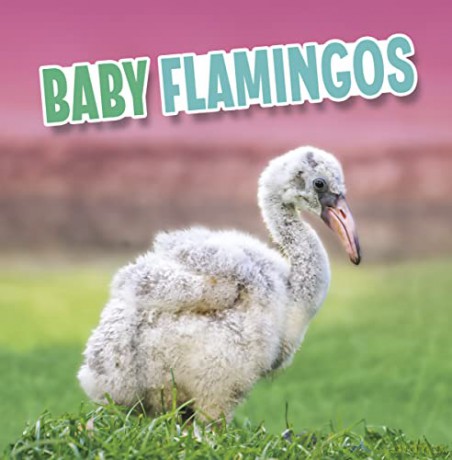 Baby Flamingos - Martha E. H. Rustad [KSIĄŻKA]