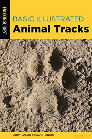 Basic Illustrated Animal Tracks - Hanson [KSIĄŻKA]