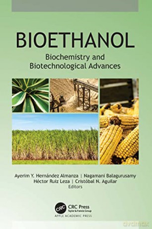 Bioethanol - Ayerim Y. Hernández Almanza [KSIĄŻKA]