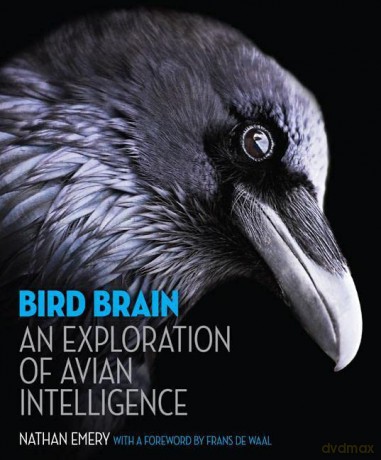 Bird Brain An Exploration Of Avian Intel - Nathan Emery [KSIĄŻKA]