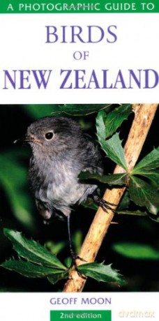 Birds Of New Zealand - Geoff Moon [KSIĄŻKA]