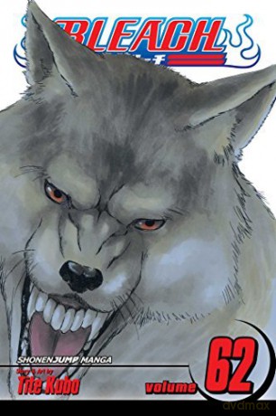 Bleach 62 - Tite Kubo [KSIĄŻKA]
