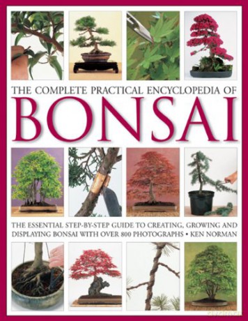 Bonsai - Ken Norman [KSIĄŻKA]