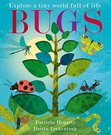 Bugs - Patricia Hegarty [KSIĄŻKA]