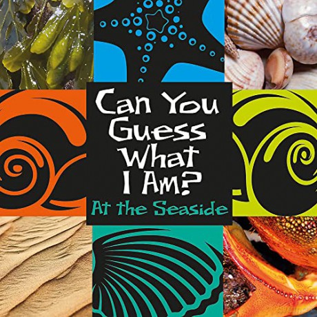 Can You Guess What I Am Seaside - J.P. Percy [KSIĄŻKA]