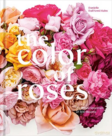 Color Of Roses - Danielle Dall'Armi Hahn [KSIĄŻKA]