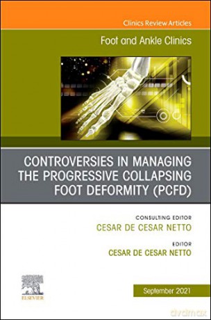 Controversies In Managing The Progressiv - Cesar de Cesar Netto [KSIĄŻKA]