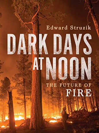 Dark Days At Noon - Edward Struzik [KSIĄŻKA]