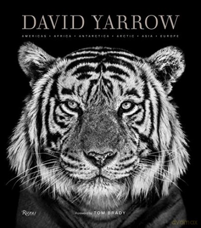 David Yarrow Photography - David Yarrow [KSIĄŻKA]