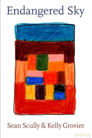 Endangered Sky Sean Scully Kelly Gro - Kelly Grovier [KSIĄŻKA]