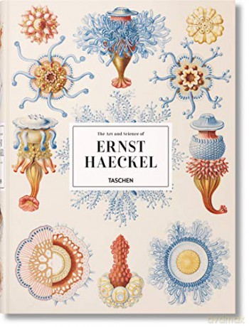 Ernst Haeckel - Rainer Willmann [KSIĄŻKA]